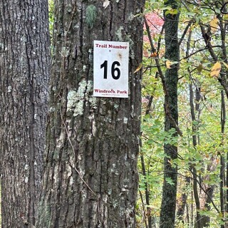 IMG_8414